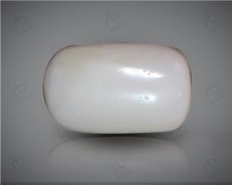 Natural White Coral ( Safed Mooga) Certified 16.61 CTS. ( 91498 )